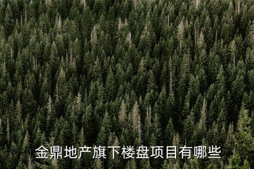  金鼎地產(chǎn)旗下樓盤項目有哪些