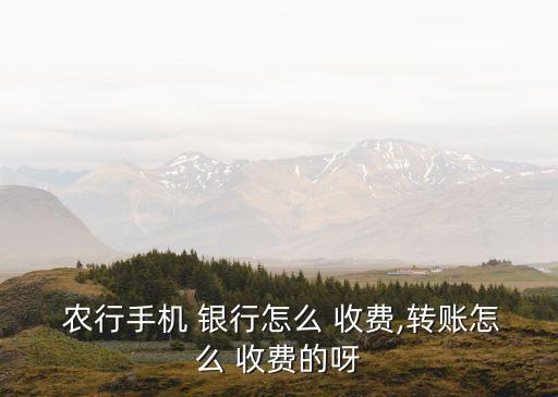  農(nóng)行手機(jī) 銀行怎么 收費(fèi),轉(zhuǎn)賬怎么 收費(fèi)的呀