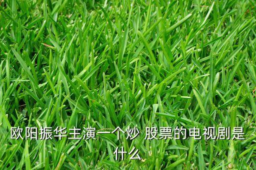 歐陽振華主演一個(gè)炒 股票的電視劇是什么