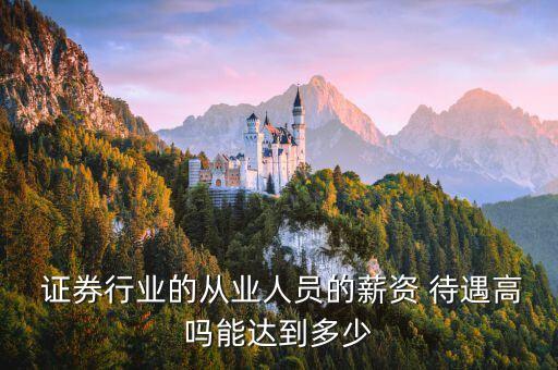  證券行業(yè)的從業(yè)人員的薪資 待遇高嗎能達到多少