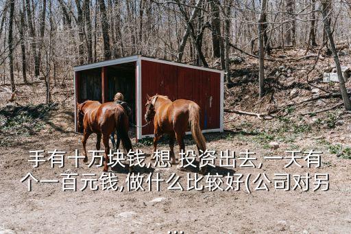 手有十萬塊錢,想 投資出去,一天有個(gè)一百元錢,做什么比較好(公司對(duì)另...