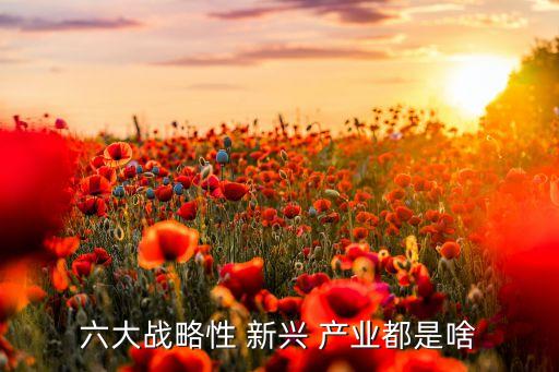 2016年中國新興產(chǎn)業(yè),中國的新興產(chǎn)業(yè)有哪些