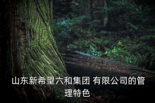  山東新希望六和集團(tuán) 有限公司的管理特色