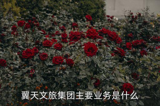 翼天文旅集團主要業(yè)務是什么