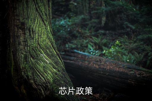 中國(guó)出臺(tái)集成電路產(chǎn)業(yè)新政