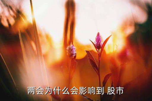 中國政府與股市,政府為什么要對股市進行監(jiān)管