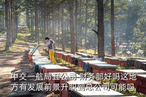  中交一航局五公司 財(cái)務(wù)部好嗎這地方有發(fā)展前景升職到總公司可能嗎
