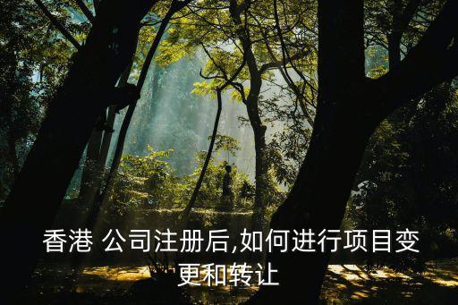  香港 公司注冊后,如何進行項目變更和轉讓
