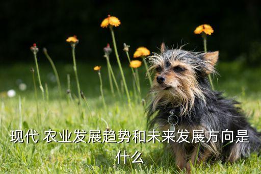 現(xiàn)代 農(nóng)業(yè)發(fā)展趨勢(shì)和未來發(fā)展方向是什么