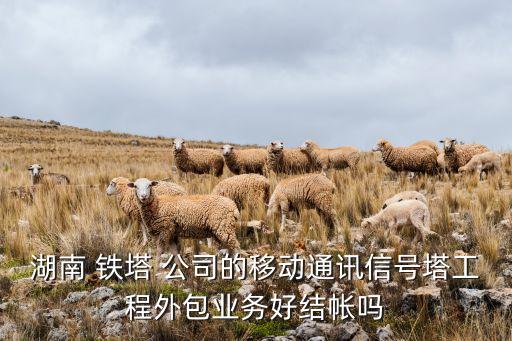 湖南 鐵塔 公司的移動通訊信號塔工程外包業(yè)務好結(jié)帳嗎