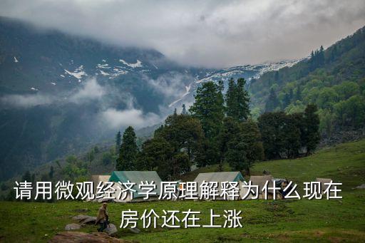 請用微觀經(jīng)濟學(xué)原理解釋為什么現(xiàn)在 房價還在上漲