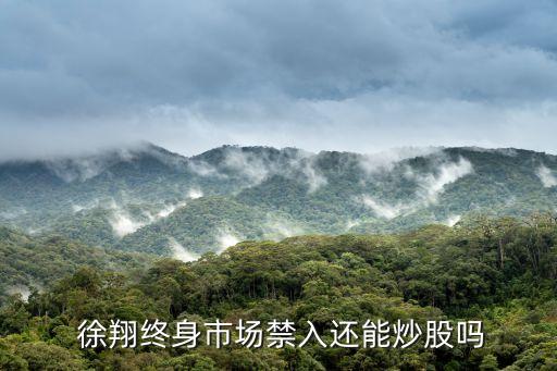  徐翔終身市場(chǎng)禁入還能炒股嗎