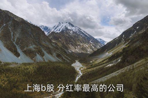 上海b股 分紅率最高的公司