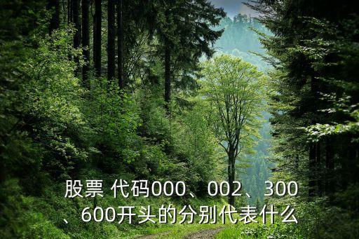  股票 代碼000、002、300、600開頭的分別代表什么