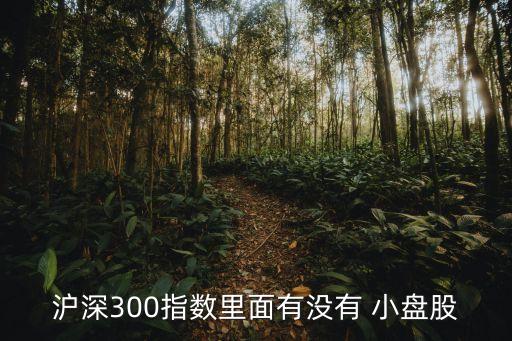 上海a股小盤股,a股羅素小盤股的標準
