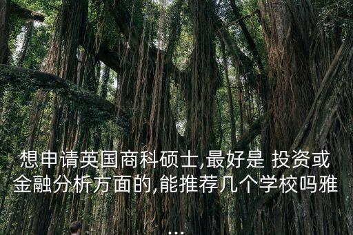 想申請英國商科碩士,最好是 投資或金融分析方面的,能推薦幾個(gè)學(xué)校嗎雅...