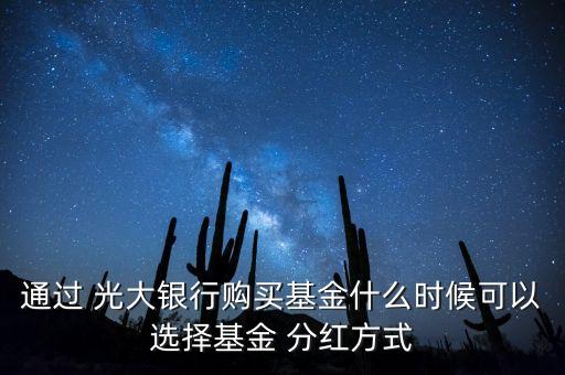通過 光大銀行購(gòu)買基金什么時(shí)候可以選擇基金 分紅方式