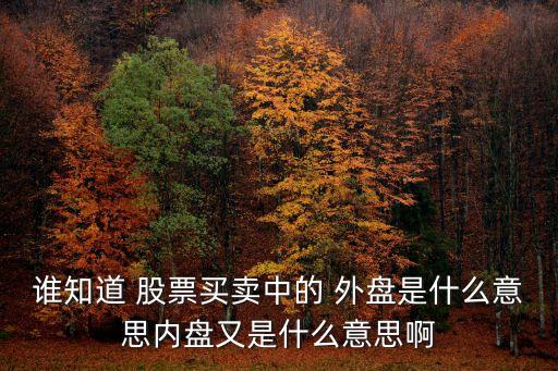 誰(shuí)知道 股票買賣中的 外盤是什么意思內(nèi)盤又是什么意思啊