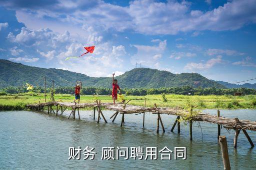 財(cái)務(wù) 顧問聘用合同