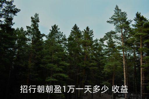招行朝朝盈1萬(wàn)一天多少 收益
