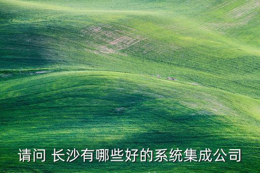 請(qǐng)問 長沙有哪些好的系統(tǒng)集成公司