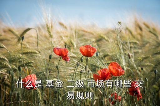 什么是 基金 二級(jí) 市場(chǎng)有哪些 交易規(guī)則