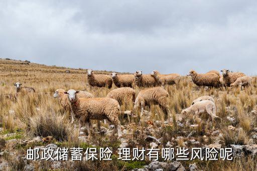  郵政儲蓄保險 理財有哪些風險呢