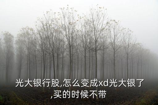  光大銀行股,怎么變成xd光大銀了,買的時(shí)候不帶