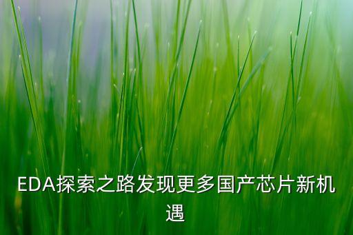 EDA探索之路發(fā)現(xiàn)更多國產(chǎn)芯片新機(jī)遇