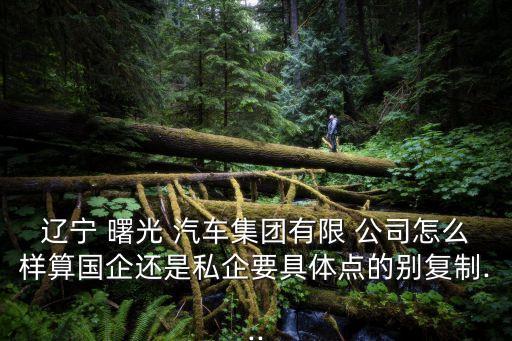 遼寧 曙光 汽車集團有限 公司怎么樣算國企還是私企要具體點的別復(fù)制...