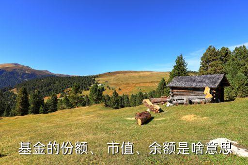  基金的份額、 市值、余額是啥意思