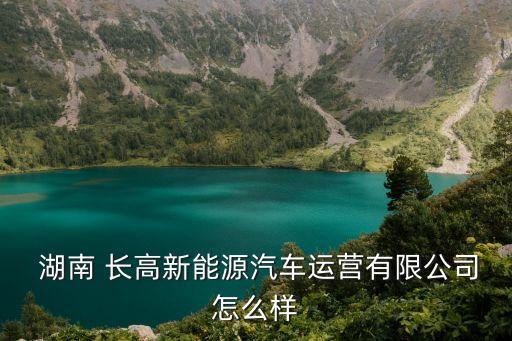 湖南長高集團(tuán)