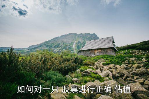 如何對一只 股票進(jìn)行正確 估值