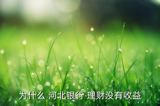 為什么 河北銀行 理財(cái)沒有收益