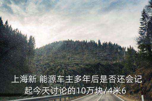  上海新 能源車主多年后是否還會記起今天討論的10萬塊/4米6