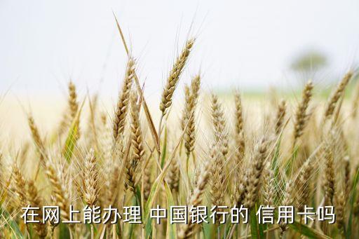 在網(wǎng)上能辦理 中國(guó)銀行的 信用卡嗎