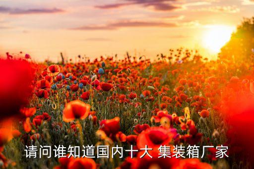 請(qǐng)問誰知道國內(nèi)十大 集裝箱廠家