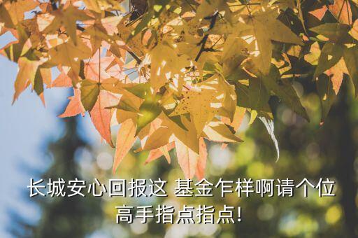  長城安心回報(bào)這 基金乍樣啊請個(gè)位高手指點(diǎn)指點(diǎn)!
