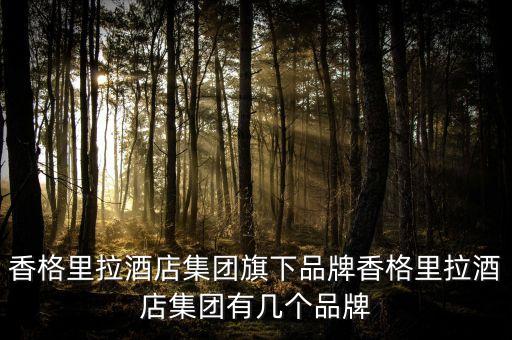 分時度假公司有幾家