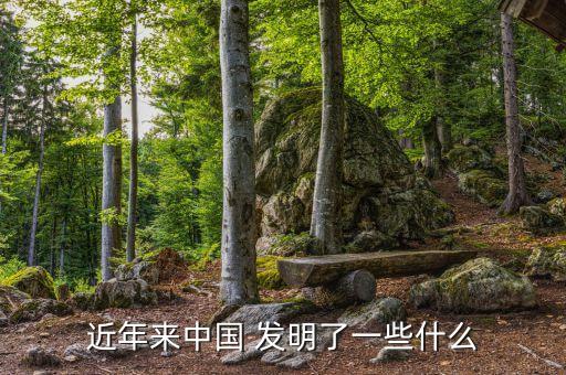 中國2009發(fā)明的高科技,中國自己發(fā)明的高科技