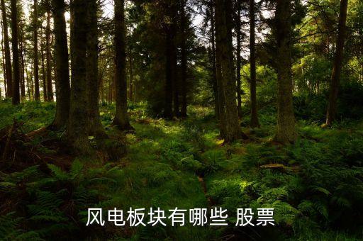 風電板塊有哪些 股票