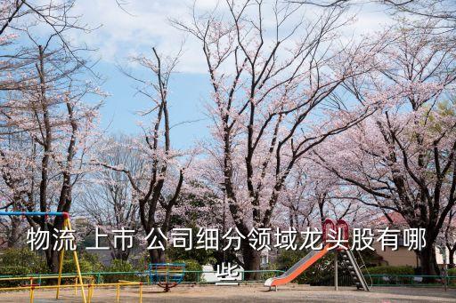 物流 上市 公司細分領域龍頭股有哪些