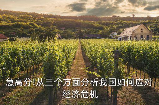 中國目前的經(jīng)濟(jì)危機(jī)