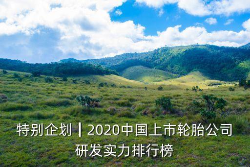特別企劃┃2020中國上市輪胎公司研發(fā)實(shí)力排行榜