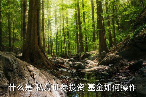私募基金募資說(shuō)明書