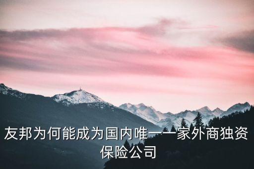 國外保險公司在中國,國外的保險公司和國內(nèi)的區(qū)別