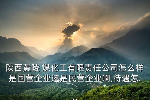 陜煤化集團負債,渭南陜煤化集團