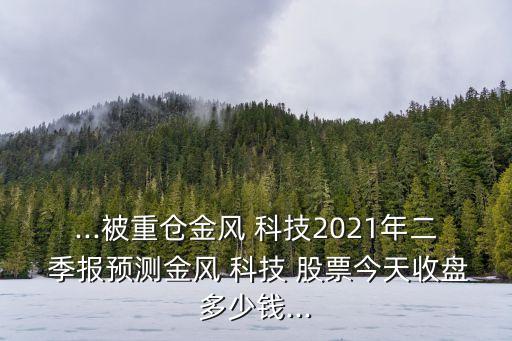 ...被重倉金風(fēng) 科技2021年二 季報(bào)預(yù)測(cè)金風(fēng) 科技 股票今天收盤多少錢...