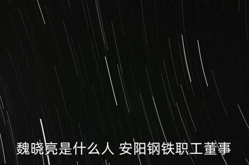 魏曉亮是什么人 安陽(yáng)鋼鐵職工董事