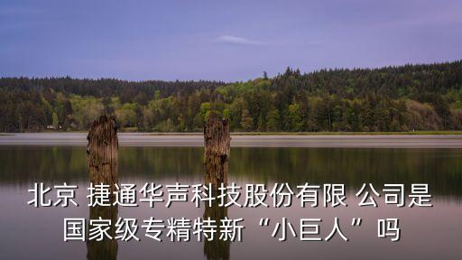 北京 捷通華聲科技股份有限 公司是國家級(jí)專精特新“小巨人”嗎